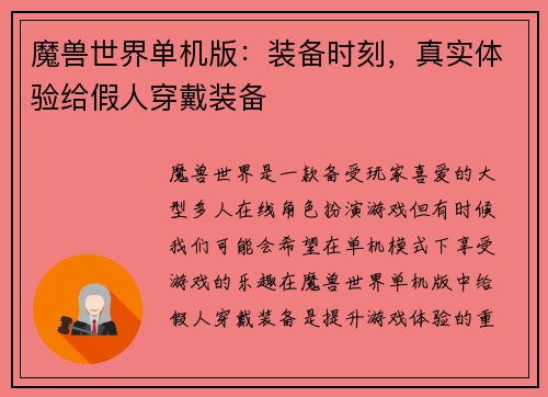 魔兽世界单机版：装备时刻，真实体验给假人穿戴装备